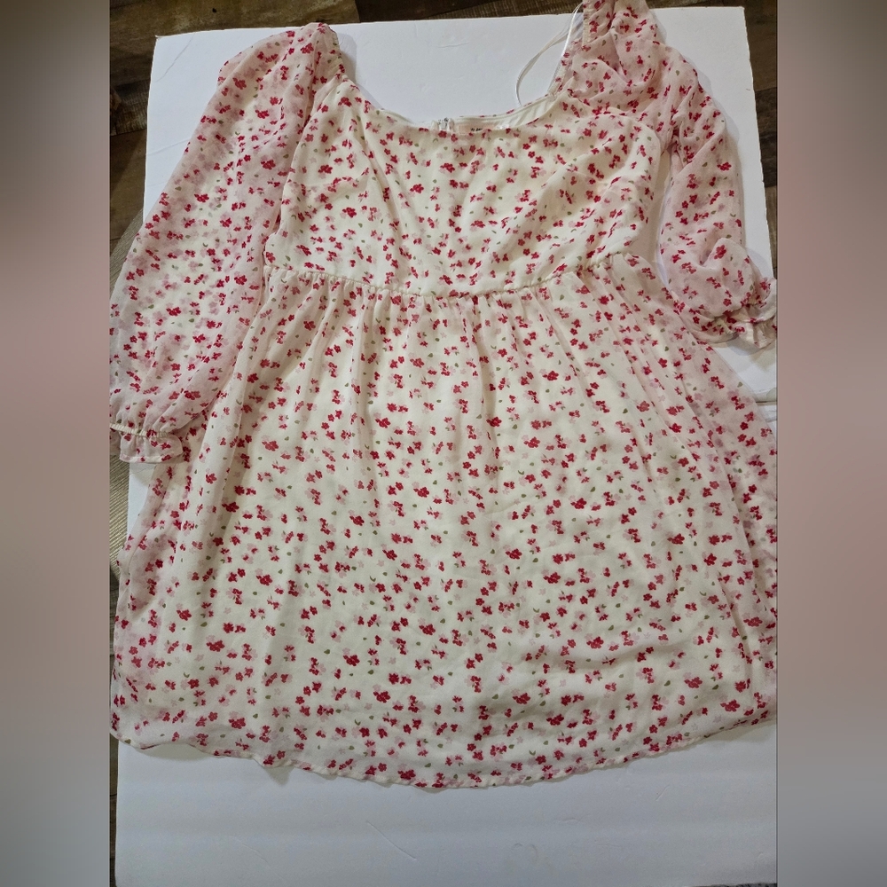 Mi Ami Women's 1X BabyDoll Dress Red and Pink Floral Print, Sheer Sleeves. Lined